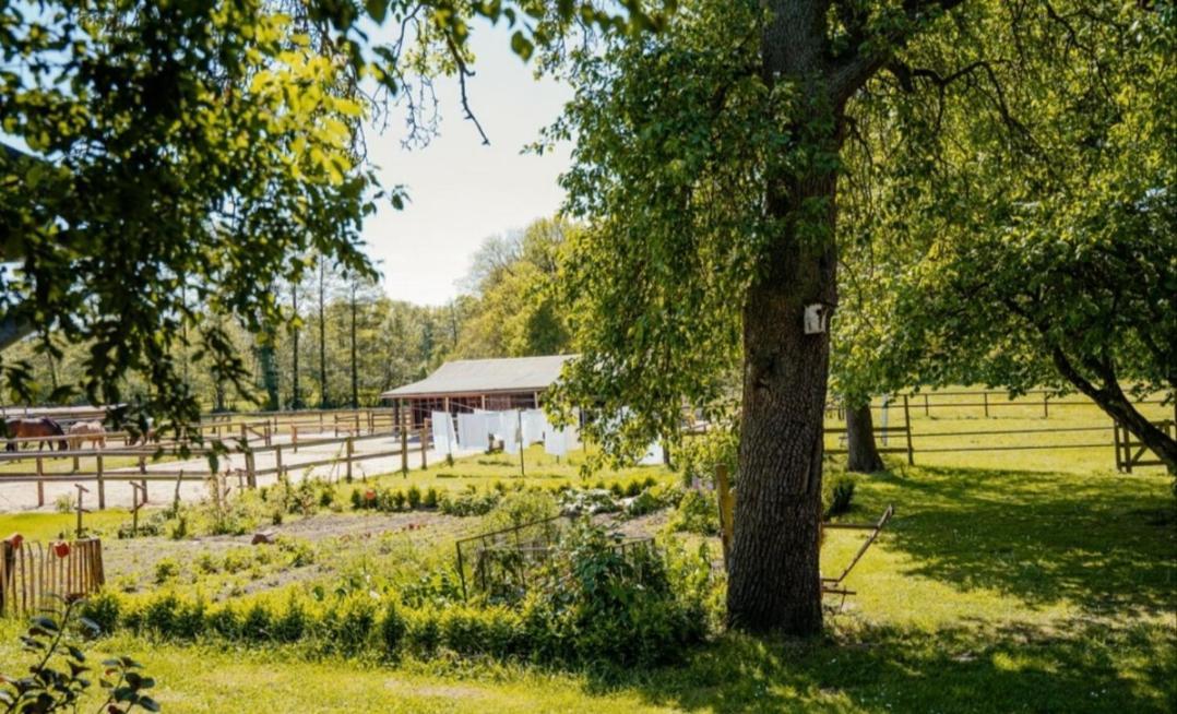 Ferienhof Trapp Ellringen エクステリア 写真